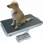 Balence électronique naturOpattes à Vienne près de Saint-Etienne (42)