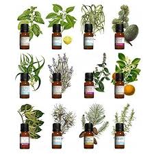 Vétérinaire aromathérapie à Vienne près de Bourgoin Jallieu et Grenoble