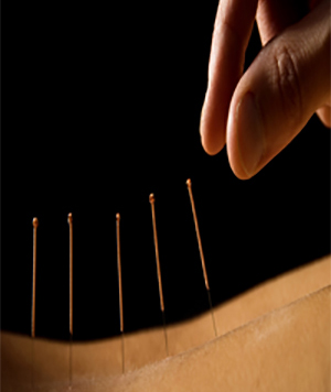 Vétérinaire médecine alternative acupuncture Vienne vers Valence et Montélimar (26)