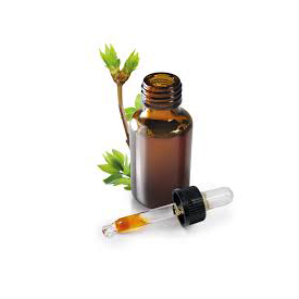 Vétérinaire médecine alternative gemmothérapie vers Bourg-En-Bresse, Lyon et Villefranche-sur-Saône