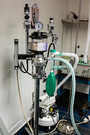 Les vétérinaires de la clinique vétérinaire de Vienne 38 utilise l'anesthésie au gaz